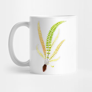 Feather fern botanical illustration Mug